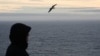Aftermath of an earthquake struck off Russia's Far Eastern Kamchatka Peninsula